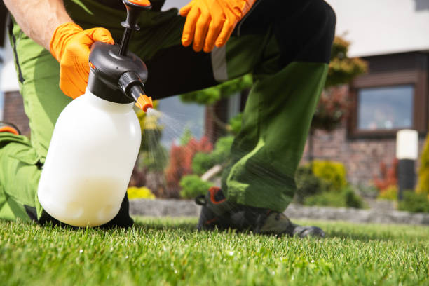 Best Pest Removal Services  in West Liberty, KY