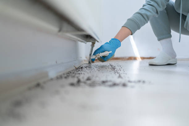 Best Pest Inspection Near Me  in West Liberty, KY